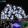 Solar Decorative Lights